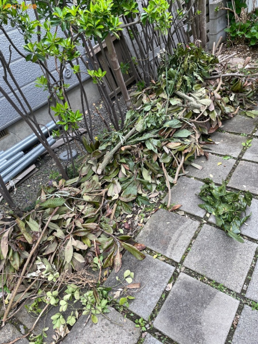 剪定した枝の回収・処分ご依頼　お客様の声