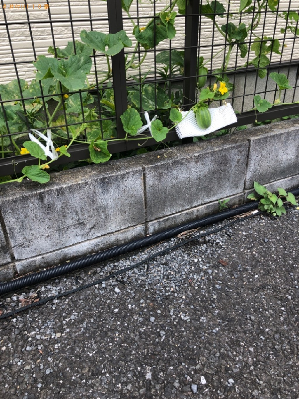 金庫の回収・処分ご依頼 お客様の声