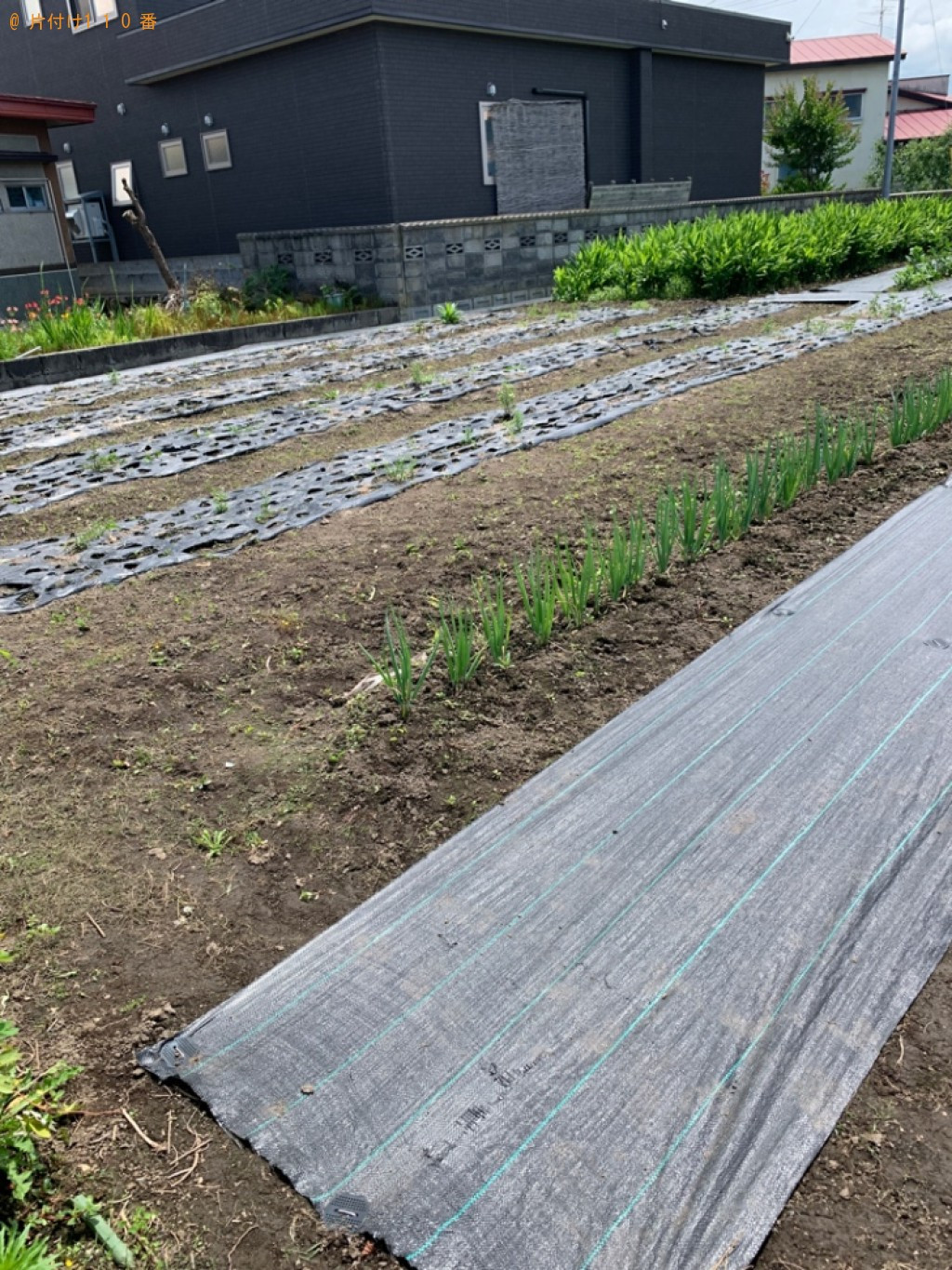木材の回収・処分と草刈り作業ご依頼　お客様の声