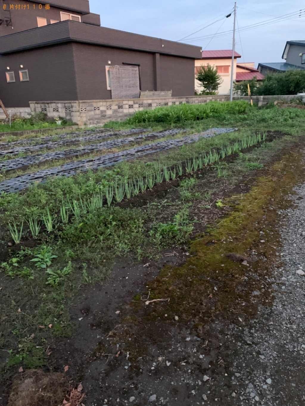 木材の回収・処分と草刈り作業ご依頼　お客様の声