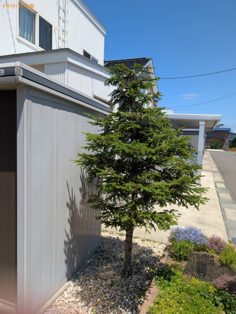 木の剪定作業ご依頼　お客様の声